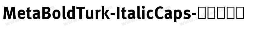 MetaBoldTurk-ItalicCaps字体转换