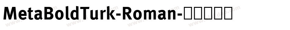 MetaBoldTurk-Roman字体转换