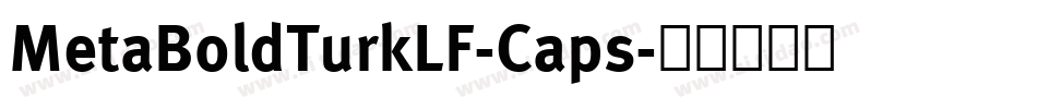 MetaBoldTurkLF-Caps字体转换
