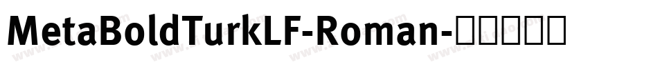 MetaBoldTurkLF-Roman字体转换