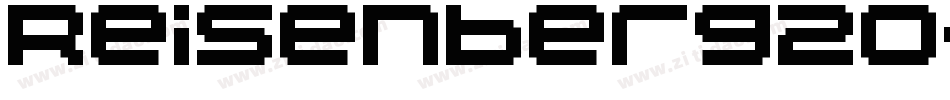 Reisenberg20-ExP9字体转换