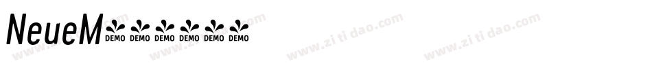 NeueM字体转换