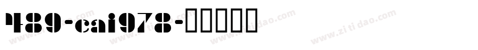 489-cai978字体转换