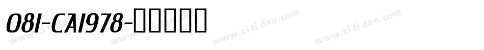 081-CAI978字体转换