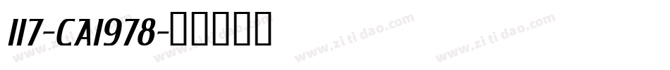 117-CAI978字体转换