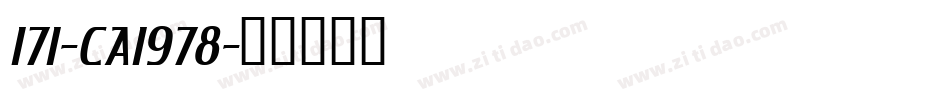 171-CAI978字体转换