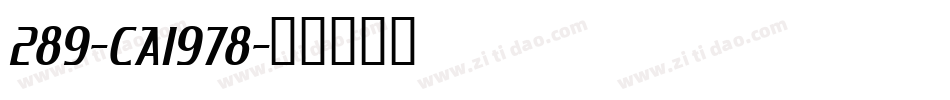 289-CAI978字体转换