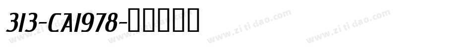 313-CAI978字体转换