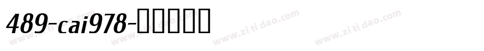489-cai978字体转换