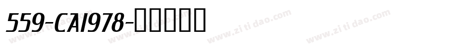 559-CAI978字体转换