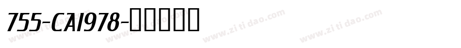 755-CAI978字体转换