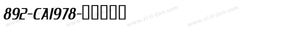 892-CAI978字体转换
