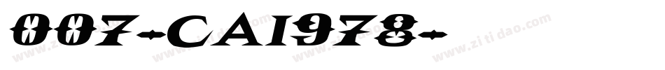 007-CAI978字体转换