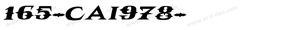 165-CAI978字体转换