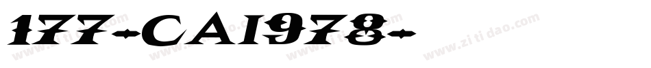 177-CAI978字体转换