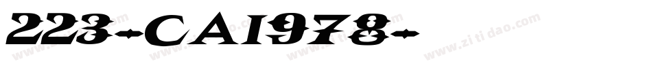 223-CAI978字体转换
