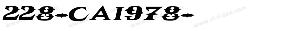 228-CAI978字体转换