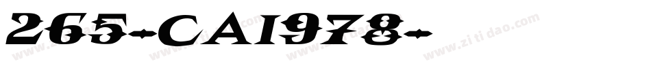 265-CAI978字体转换