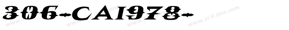 306-CAI978字体转换