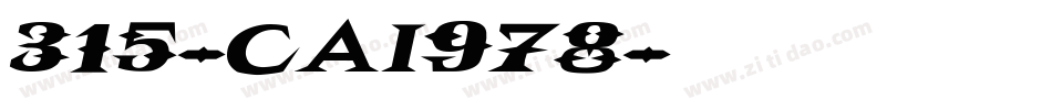315-CAI978字体转换