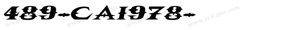 489-cai978字体转换