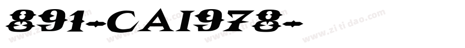 891-CAI978字体转换