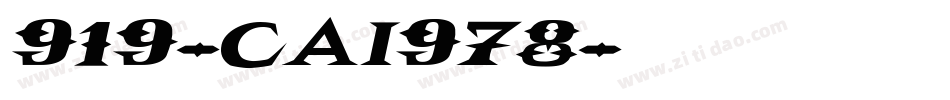 919-CAI978字体转换