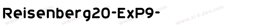 Reisenberg20-ExP9字体转换
