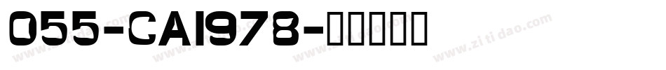 055-CAI978字体转换