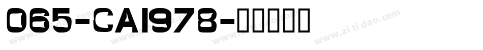 065-CAI978字体转换