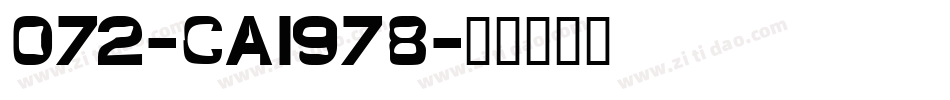 072-CAI978字体转换