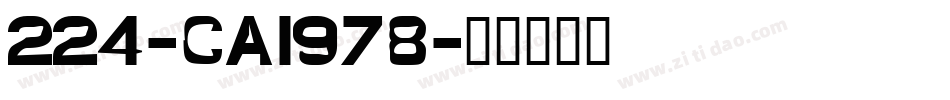 224-CAI978字体转换