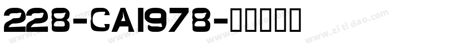 228-CAI978字体转换