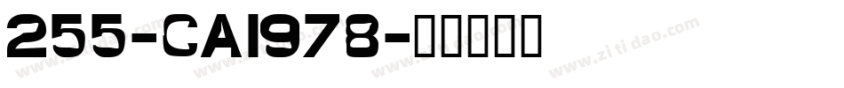 255-CAI978字体转换