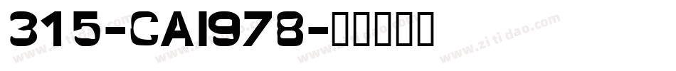 315-CAI978字体转换