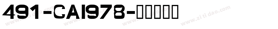 491-CAI978字体转换