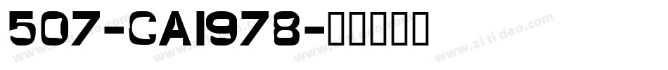507-CAI978字体转换