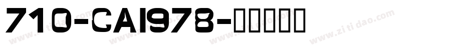 710-CAI978字体转换