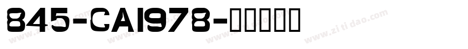 845-CAI978字体转换