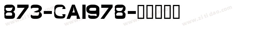 873-CAI978字体转换