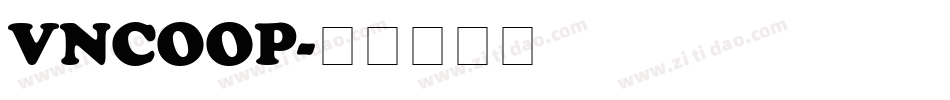 VNCOOP字体转换