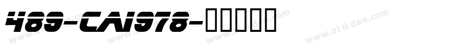 489-cai978字体转换