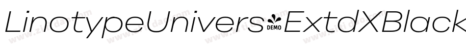 LinotypeUnivers-ExtdXBlackItalic字体转换