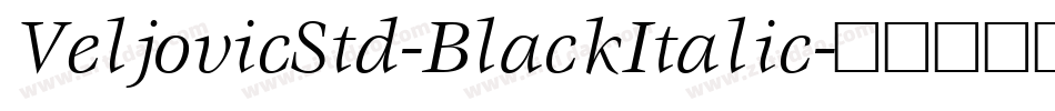 VeljovicStd-BlackItalic字体转换