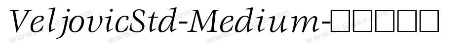 VeljovicStd-Medium字体转换