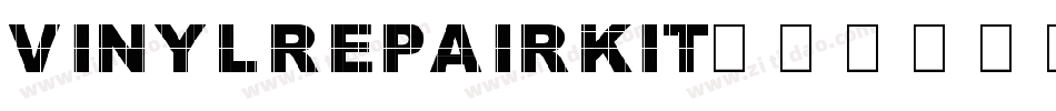 VINYLREPAIRKIT字体转换