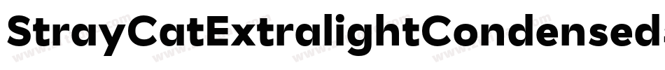 StrayCatExtralightCondensed-15ML字体转换