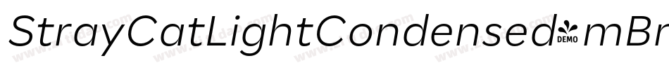 StrayCatLightCondensed-mBm9字体转换