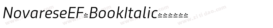 NovareseEF-BookItalic字体转换