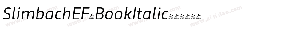 SlimbachEF-BookItalic字体转换